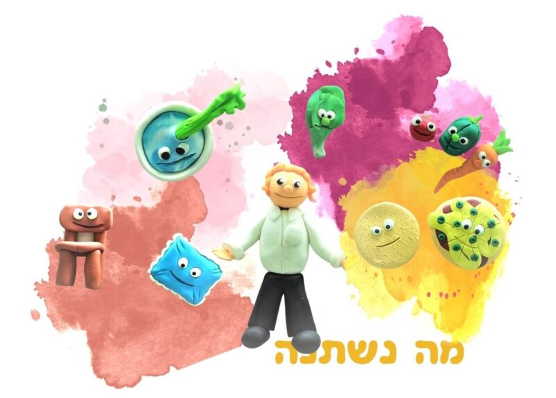 מה נשתנה מפלסטלינה