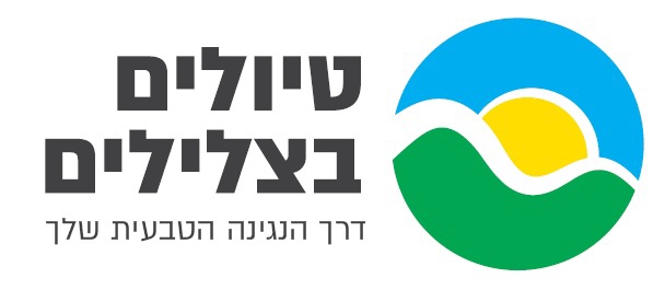 נגינה לילדים